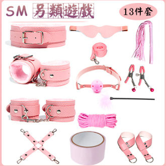 SM 另類遊戲 ‧ 13件套裝情趣組 - 粉紅色#590633